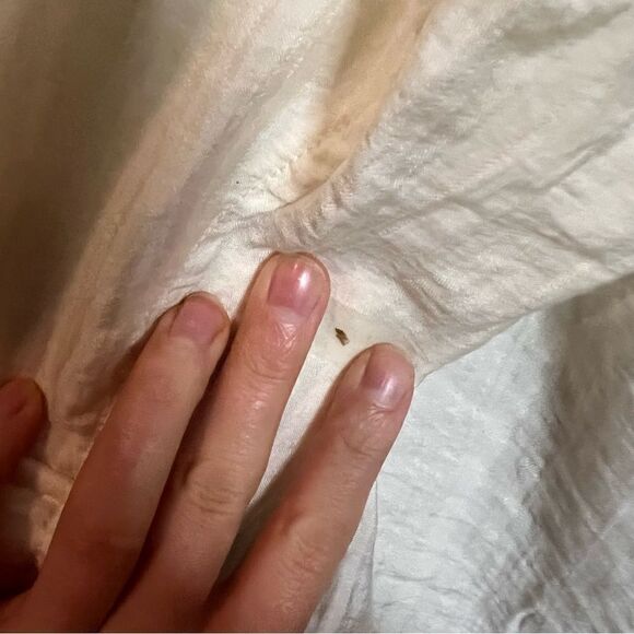 3 for $30! J. Jill petite sheer long sleeve blouse - Picture 11 of 12